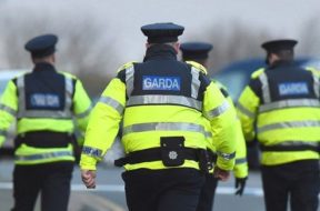 Gardai-searching